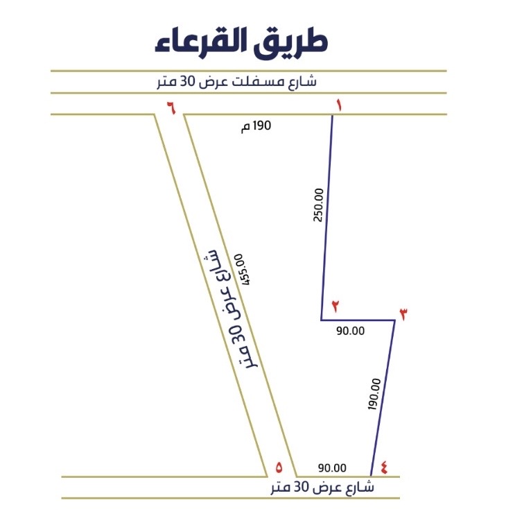 أرض للبيع في القصيم في القرعاء